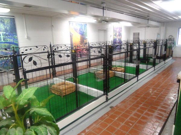 business plan for dog kennel