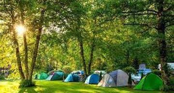 Campground Business Plan Template [Updated 2022]