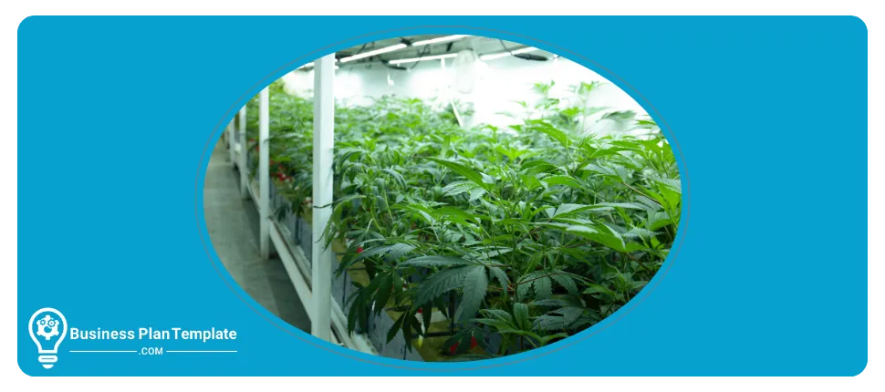 cannabis cultivation business plan template