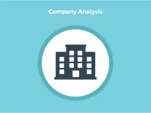 company analysis business plan