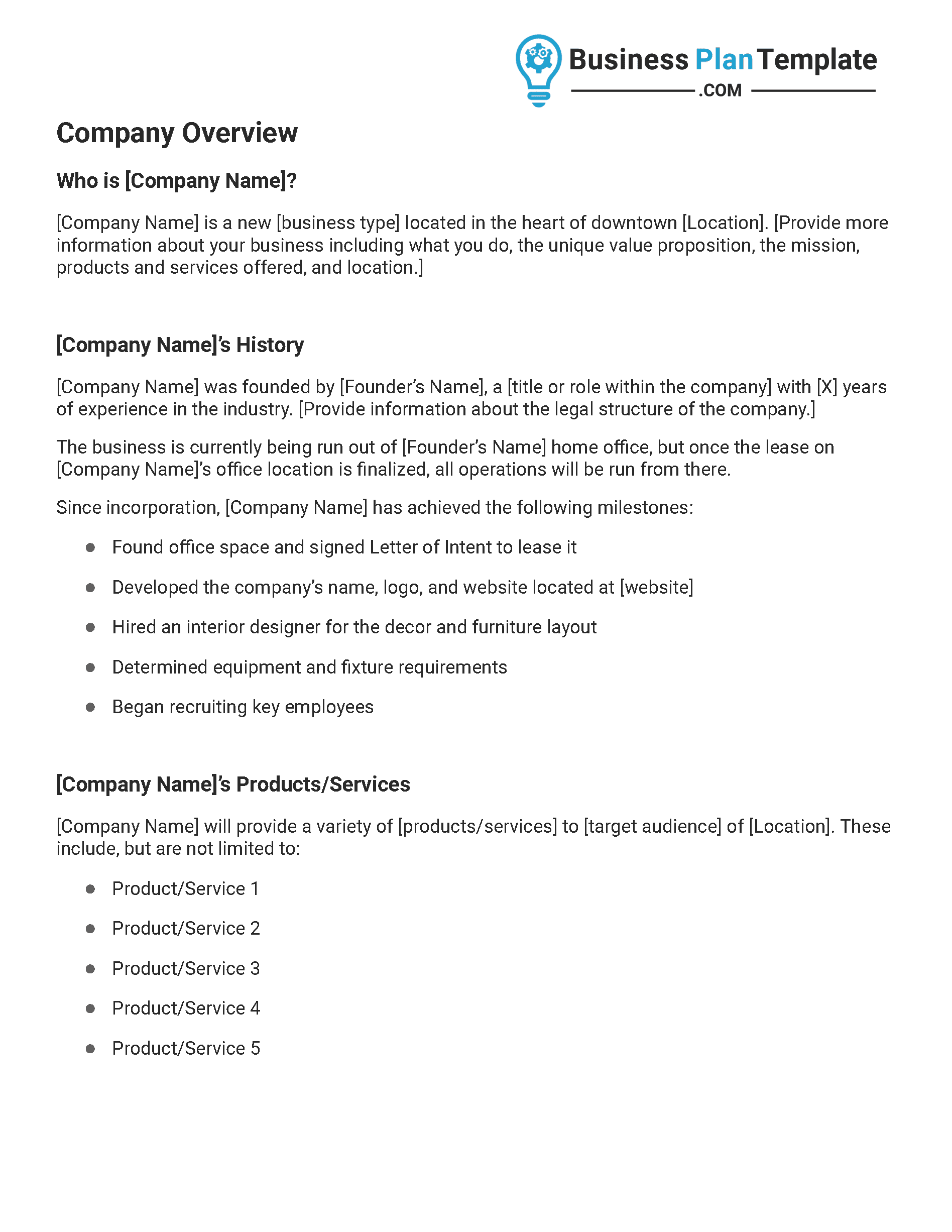 company overview business plan template