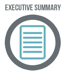 executive summary