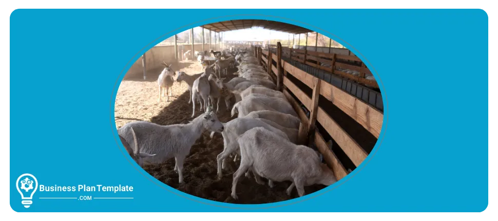 goat farming business plan template