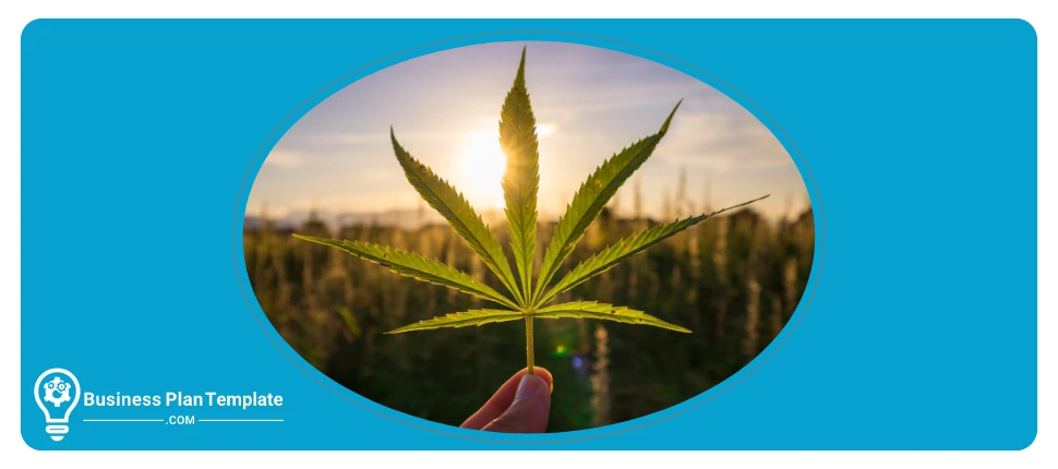 hemp farm business plan template