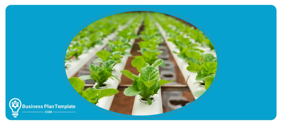 hydroponics business plan template