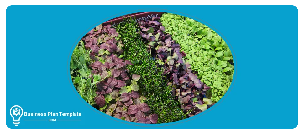 microgreens business plan template