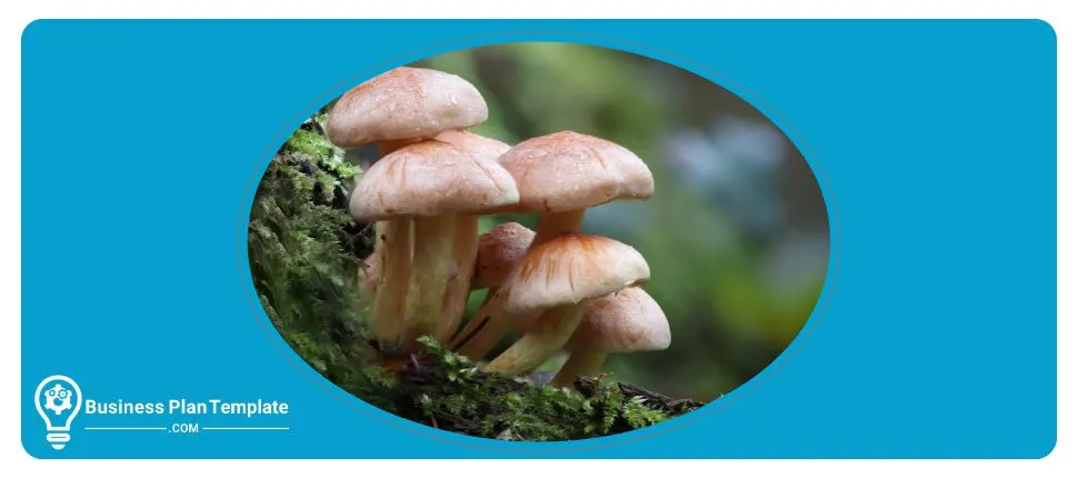 mushroom farm business plan template