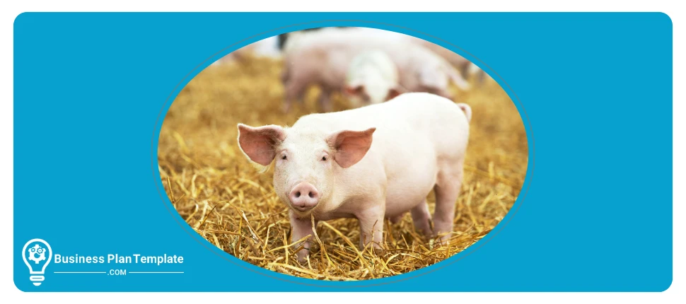 pig farm business plan template