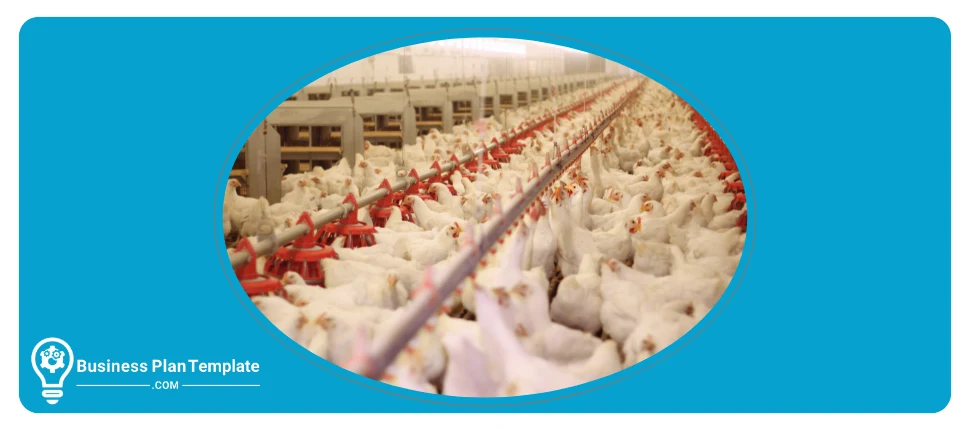 poultry farm business plan template
